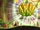 Fruit Kingdoms