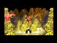 Donkey Kong Country (GBA)- Necky's Nuts