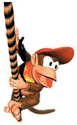 DiddyClimbingRope-1-.jpg