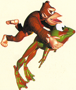 Donkey Kong Country