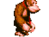 Donkey Kong Country