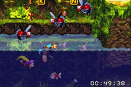 The Kongs are safe from the Killer Bees as long as they are underwater.