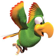 Artwork of Squawks the Parrot.