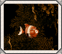 Bounty Bass' photograph as seen in Dixie Kong's Photo Album during the regular ending cutscene of the game Donkey Kong Country 3: Dixie Kong's Double Trouble! for SNES.