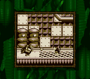 Diddy Kong fighting King K. Rool in the game Donkey Kong Land for Game Boy, as seen on the Super Game Boy for SFC/SNES.