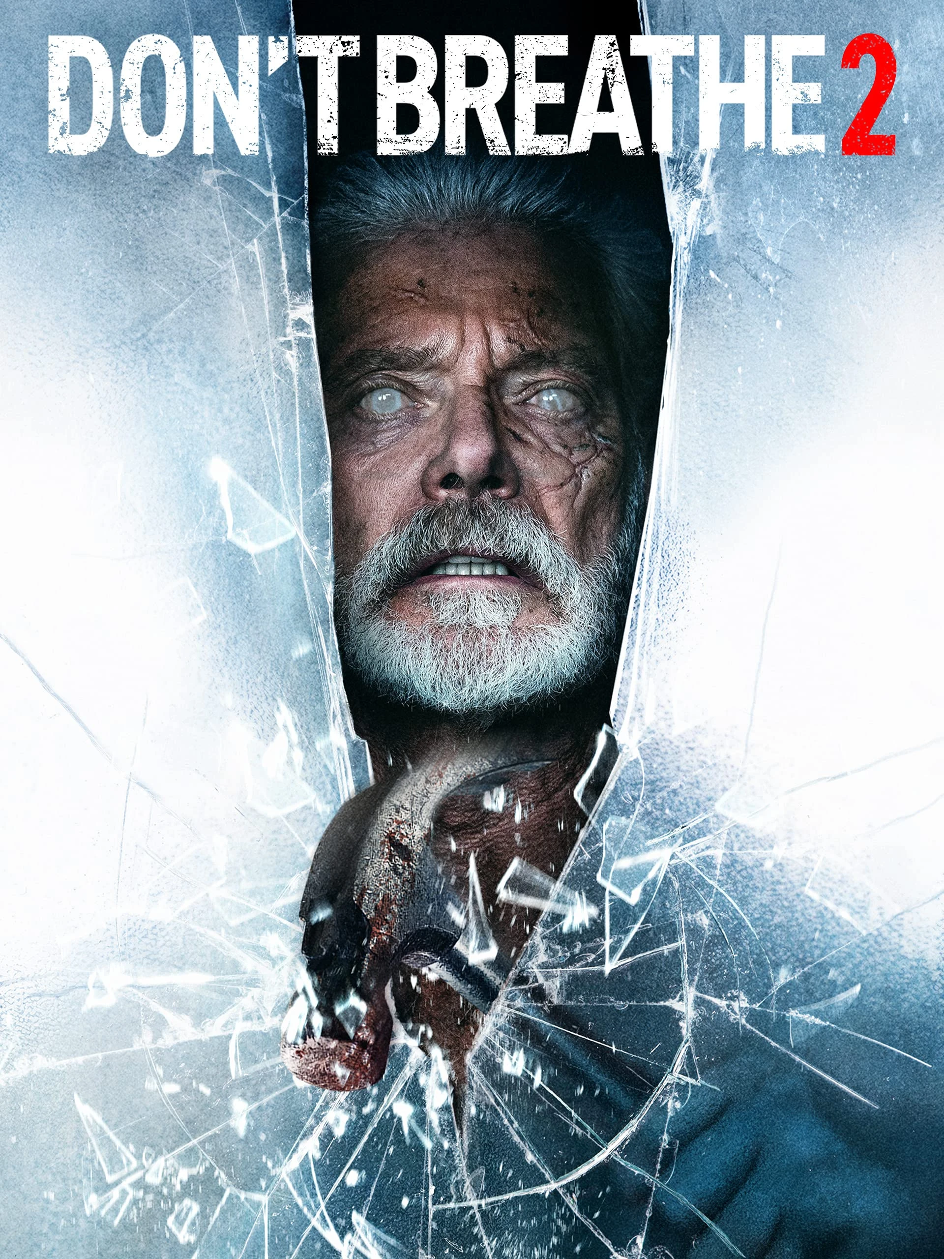 Don't Breathe 2 (2021) Poster