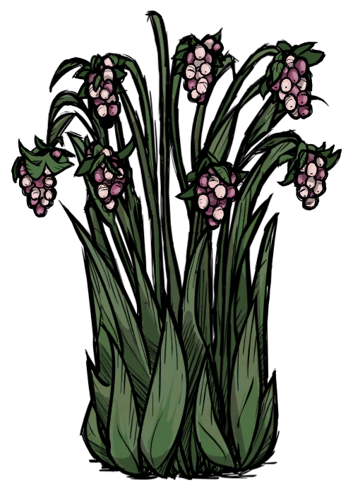 Juicy Berry Bush, Don't Starve Wiki