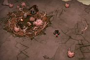 Roc Robin Nest.png (1.43メガバイト) Willow discovering the BFB's nest in the Pinacle biome.