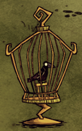 Crow in bird cage