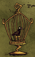 Crow imprisoned in a Birdcage