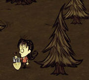 Trees willow.jpg