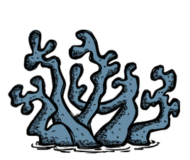 Cave Lichen