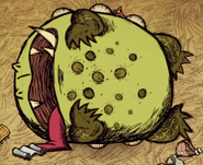 Um Toadstool morto com um Projeto raro perto dele.