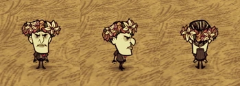 Maxwell wearing a Garland.