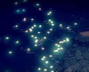 虹色クラゲの大移動の様子