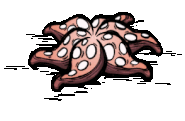 Animation of an Anenemy getting hit.