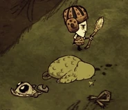 威尔森與已死去的魚人以及戰利品。