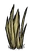 Grass Tuft.png