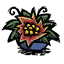 Salada de Flores (Flower Salad).png