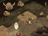 Beefalo life stages