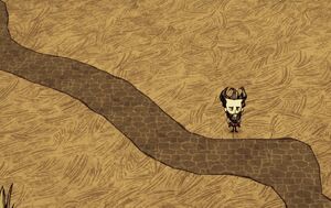 Curvy roads.jpg