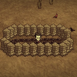 Dont starve trap