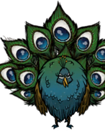 呆头孔雀 Don T Starve 中文維基 Fandom