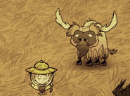 A Beefalo after being shaved