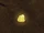 Gold Nugget