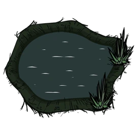 Pond