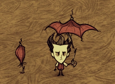 雨傘 Don T Starve 中文維基 Fandom
