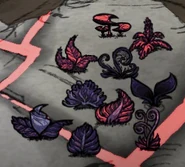 Nightmare Ferns.png (151キロバイト) Ferns changing color during the Nightmare Phase.