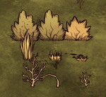 Collectable plants (Berry Bush, Grass, Sapling)