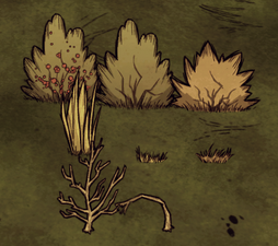 Collectable plants (Berry Bush, Grass, Sapling)