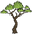 Jungle Tree