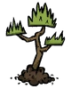A Jungle Tree sapling.