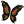 Butterfly Wings.png