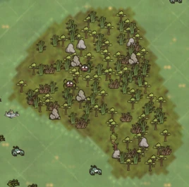 Jungla isla