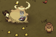 A Pig King throwing a Gold Nugget