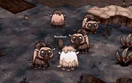 Old Beefalos in game