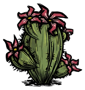 Cactus | Don't Starve Wiki | Fandom