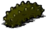 Seacucumber.png (112 KB)