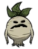 Elder Mandrake.png