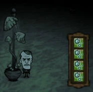 Green Glowcap.png (129キロバイト) A glowcap charged with green spores.