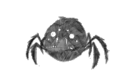 Rough animation of Spider
