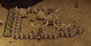 Using a Beefalo Horn to lead Beefalos into a pen.