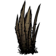 A Diseased Grass Tuft in Don't Starve Together.