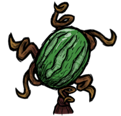 Watermelon Plant.png