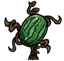 Watermelon Plant