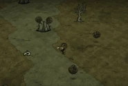 Tumbleweeds moving.png (697 KB) 移动中的风滚草。